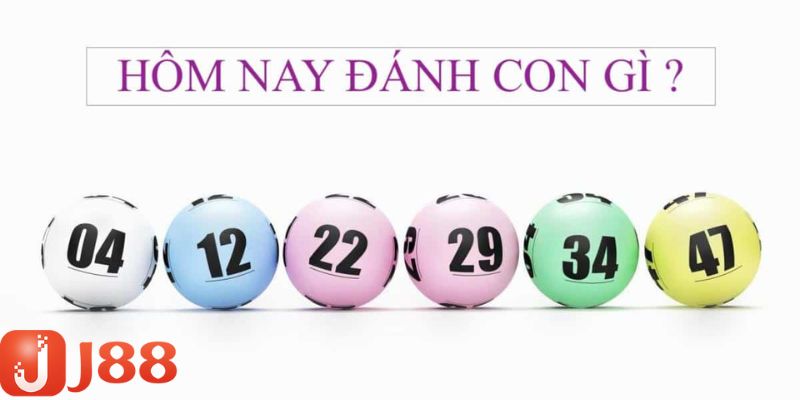 Tìm hiểu những con số khi đề về 49 hôm sau đánh con gì